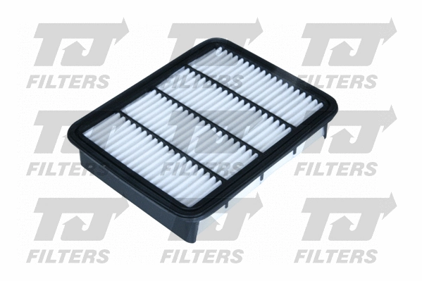 Air Filter (QFA0234)