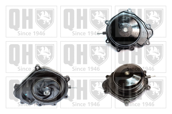 Water Pump, engine cooling (QCP3799)