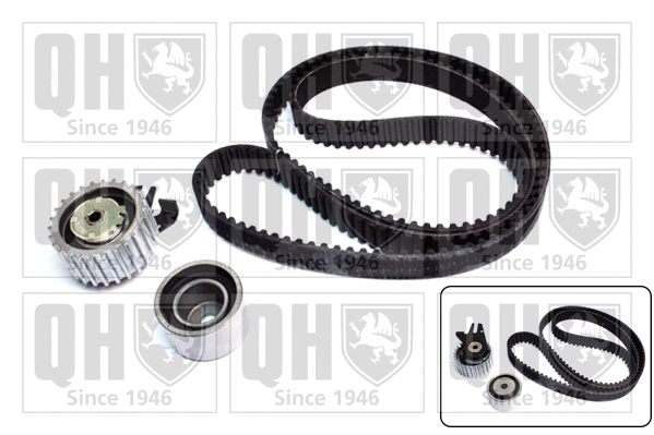 Timing Belt Kit (QBK789)