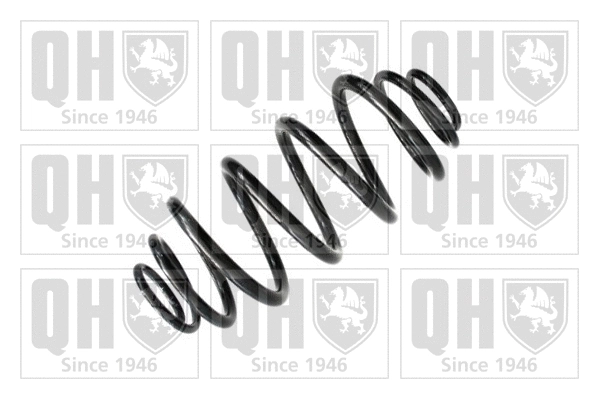 Suspension Spring (QCS6666)