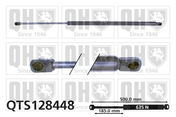Gas Spring, boot/cargo area (QTS128448)