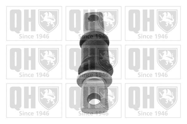 Mounting, control/trailing arm (EMS8353)