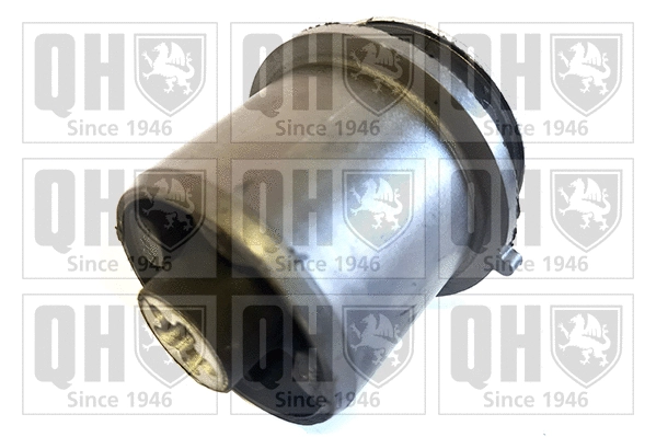 Bushing, axle beam (EMS8795)