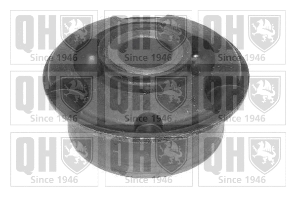 Mounting, control/trailing arm (EMS1981)