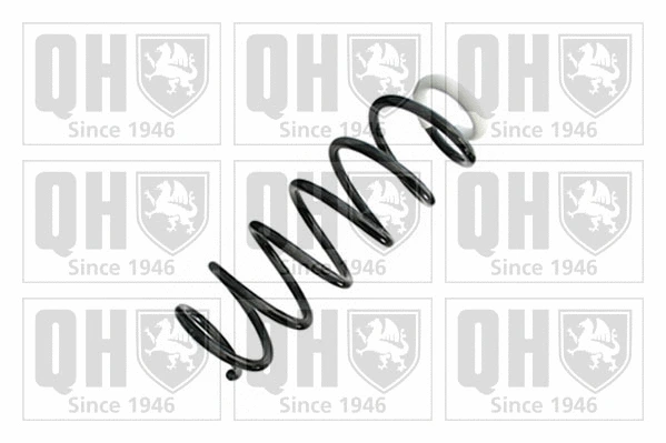 Suspension Spring (QCS8731)