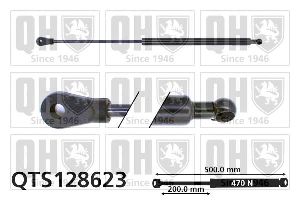 Gas Spring, boot/cargo area (QTS128623)