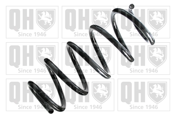 Suspension Spring (QCS8410)