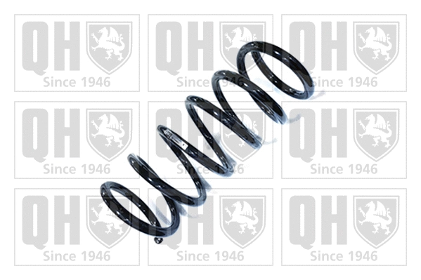 Suspension Spring (QCS8851)
