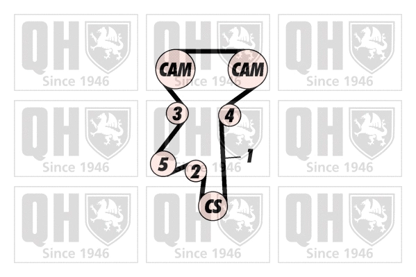 Timing Belt Kit (QBK335)