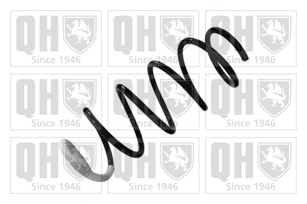 Suspension Spring (QCS8698)