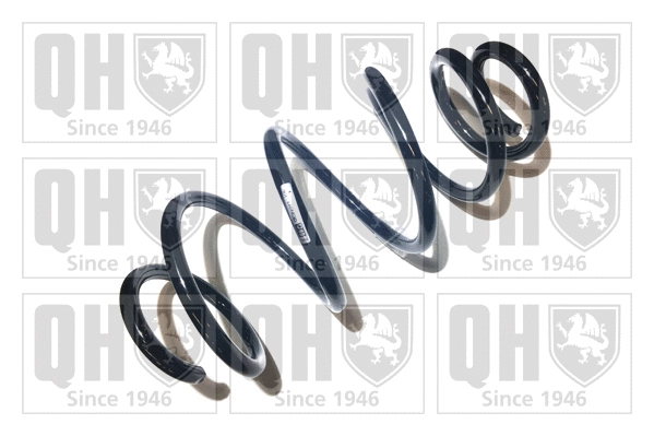 Suspension Spring (QCS5562)