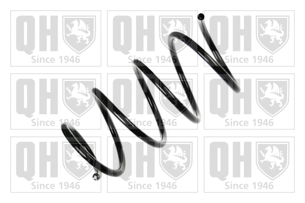 Suspension Spring (QCS5402)