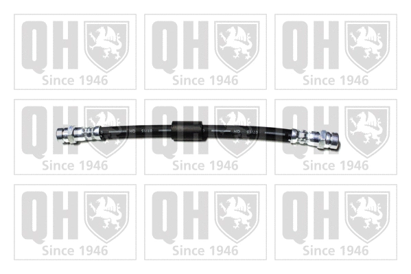 Brake Hose (BFH5579)