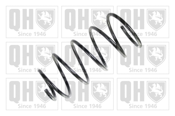 Suspension Spring (QCS6707)