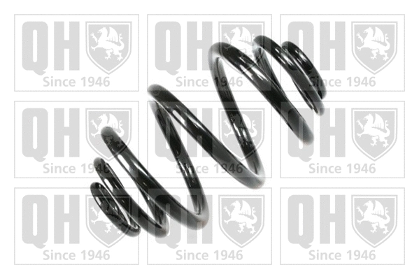 Suspension Spring (QCS6296)