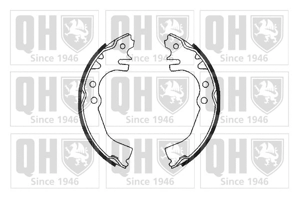 Brake Shoe Set (BS982)