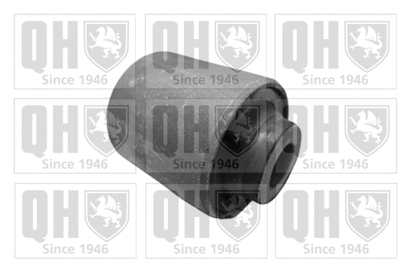 Mounting, control/trailing arm (EMS8359)
