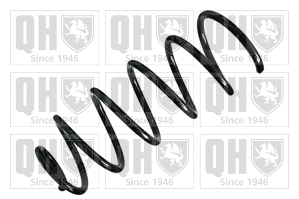 Suspension Spring (QCS6904)