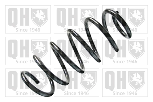 Suspension Spring (QCS8399)