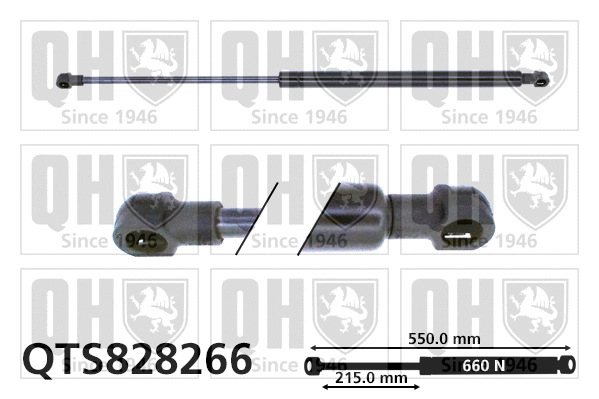 Gas Spring, boot/cargo area (QTS828266)