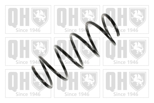 Suspension Spring (QCS7033)