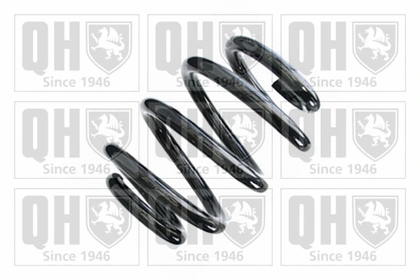 Suspension Spring (QCS8751)