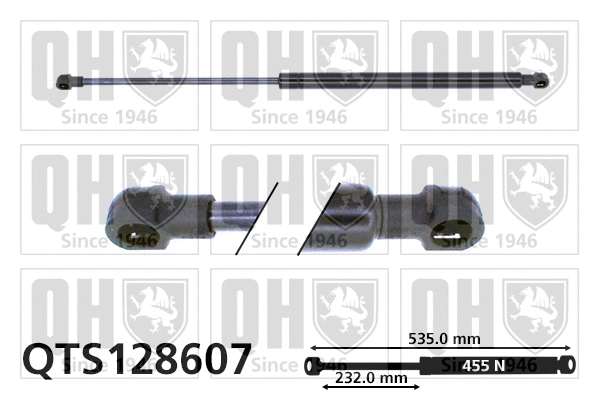 Gas Spring, boot/cargo area (QTS128607)