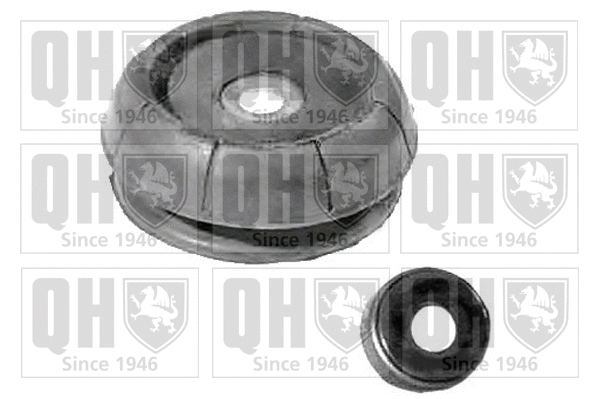 Repair Kit, suspension strut support mount (EMA1791)