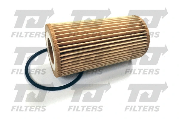 Oil Filter (QFL0382)
