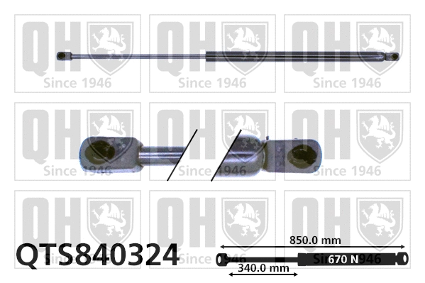 Gas Spring, boot/cargo area (QTS840324)