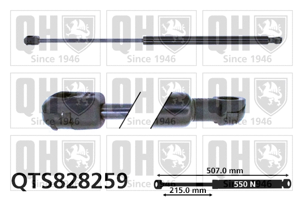 Gas Spring, boot/cargo area (QTS828259)