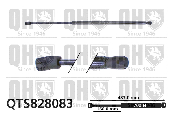Gas Spring, boot/cargo area (QTS828083)