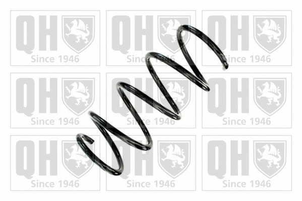 Suspension Spring (QCS9105)