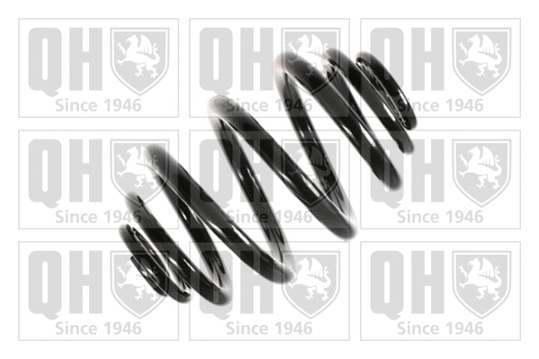 Suspension Spring (QCS7781)