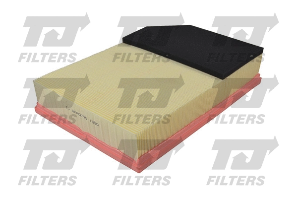 Air Filter (QFA0795)