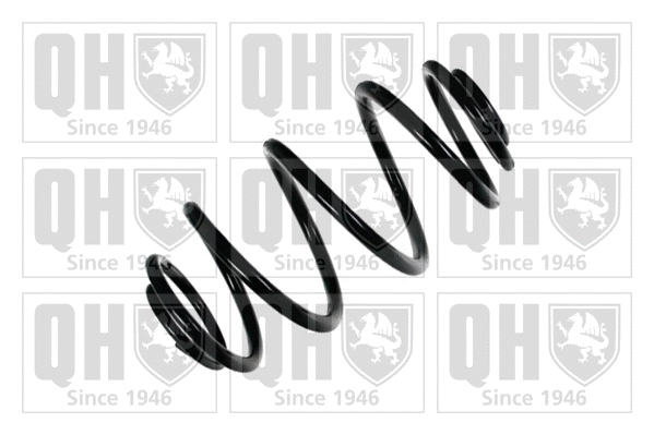 Suspension Spring (QCS7594)