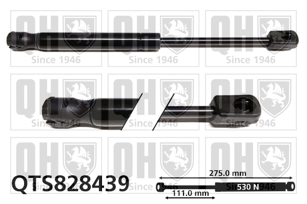 Gas Spring, boot/cargo area (QTS828439)