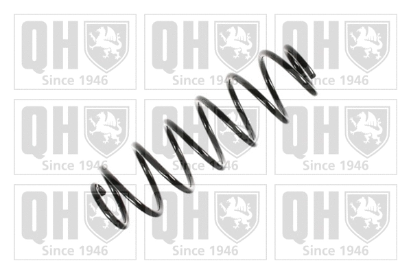Suspension Spring (QCS7870)