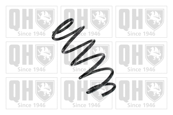 Suspension Spring (QCS6532)
