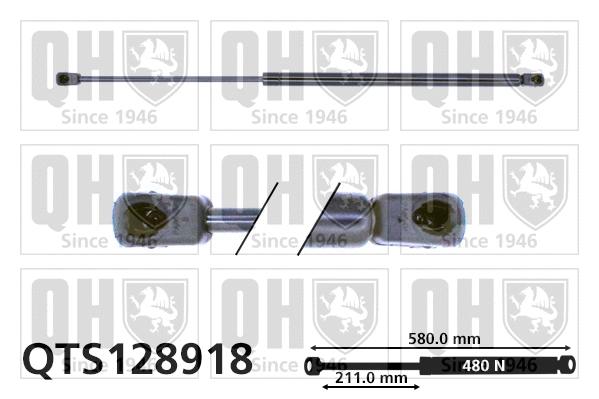 Gas Spring, boot/cargo area (QTS128918)
