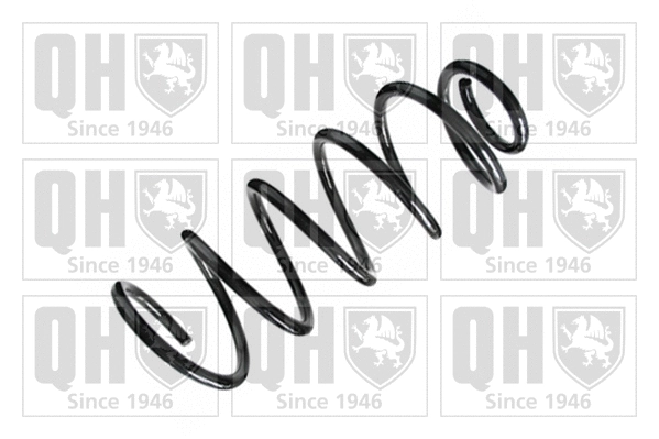Suspension Spring (QCS6527)