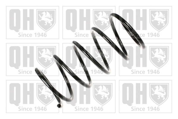 Suspension Spring (QCS7153)