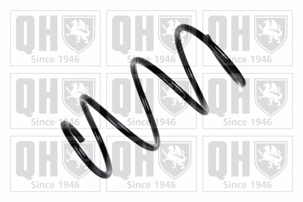 Suspension Spring (QCS7054)