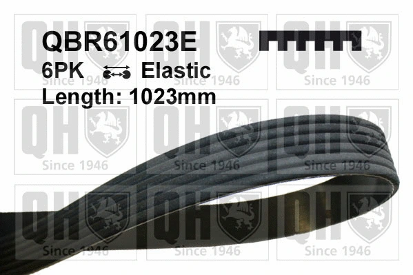 V-Ribbed Belt (QBR61023E)
