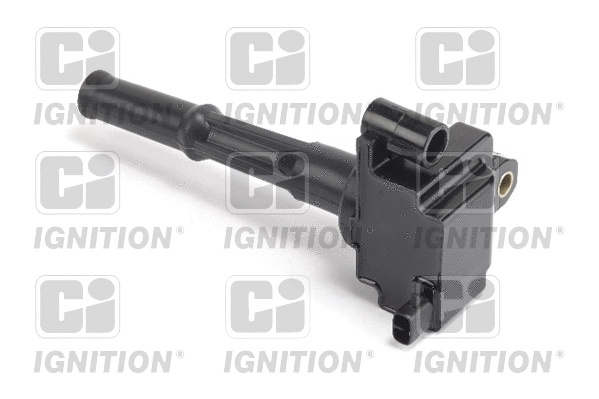 Ignition Coil (XIC8303)