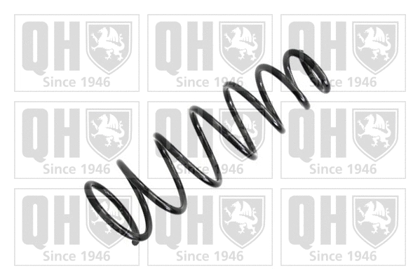 Suspension Spring (QCS8105)