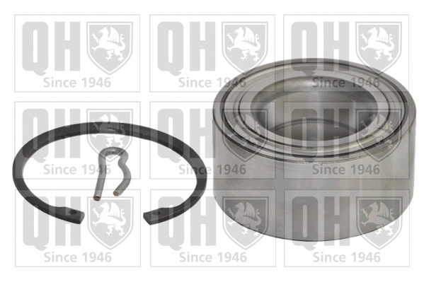 Wheel Bearing Kit (QWB790)