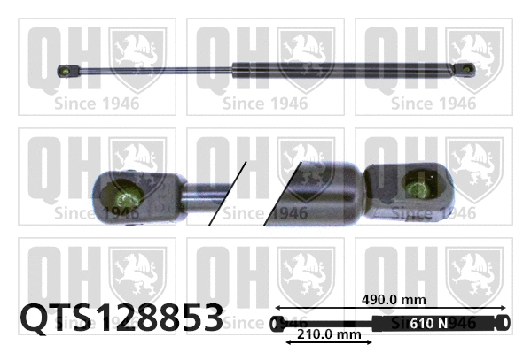Gas Spring, boot/cargo area (QTS128853)