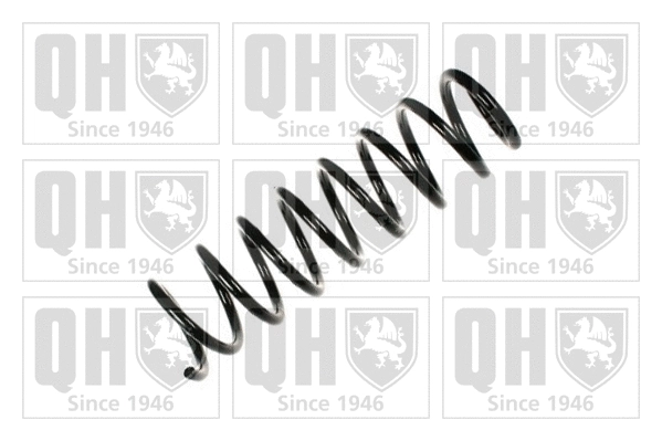 Suspension Spring (QCS8020)