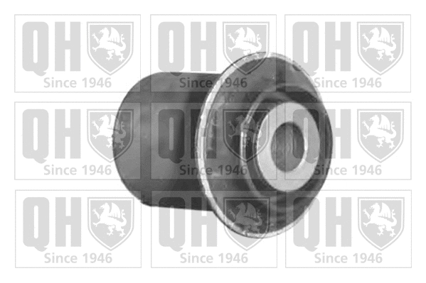Mounting, control/trailing arm (EMS8413)